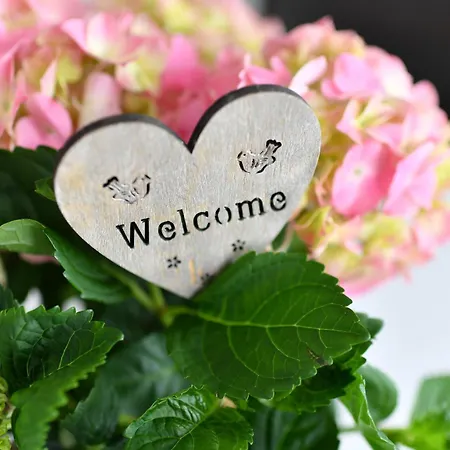 Dinkelbach 1 B Bodolz