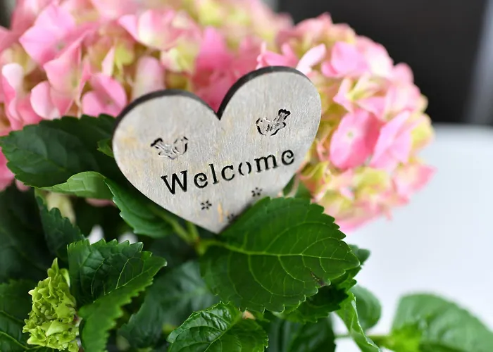 Dinkelbach 1 B Bodolz